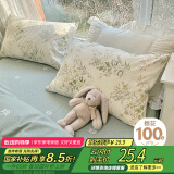 艾薇 枕头套枕套一对纯棉家用全棉单人枕套枕芯套 仙草 48*74cm