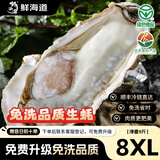 鲜海道【活鲜】鲜海道生蚝  乳山牡蛎 新鲜海蛎子生鲜贝类 稀有耗王8XL号带箱10斤