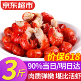弹指鲜生麻辣小龙虾尾 熟冻大号虾球固形物含量≥53%冷冻虾尾夜宵烧烤食材 大号3斤【京仓发货】