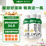 晨光酸牛奶饮品240g*12瓶 低温酸奶原味 乳酸菌发酵风味酸奶