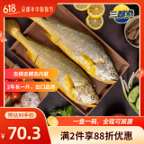 三都港 冷冻三去大黄鱼700g/2条装 宁德黄花鱼 生鲜 鱼类 端午节