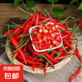 新鲜小米椒小米红尖椒超时即食生鲜小米辣 【强推】 500g 带箱