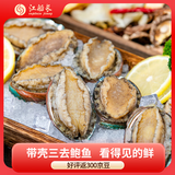 江船长 冷冻大鲍鱼净重270g 10粒装 去内脏 活鲍加工火锅烧烤食材 