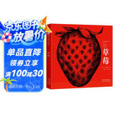 草莓 中英等五种语言对照双语绘本自然科学植物种植亲近大自然自然观察体验3-6岁新宫晋