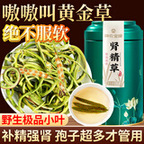神农金康肾精草100g 嗷嗷叫黄金草 野生长白山肾精茶化石草东北男士养生茶