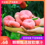 端荟【平谷馆】平谷蟠桃扁桃子现摘现发爆汁纯甜时令水果新鲜 12粒（单果120g起）