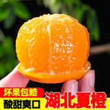 柏果相依湖北夏橙 当季秭归高山手剥酸甜橙子新鲜水果血多汁冰糖脐  可选 2斤装中号(净果约1.7斤)