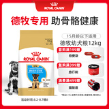 皇家狗粮 德牧幼犬狗粮 犬粮 宠物大型犬 AGS30 全价犬粮 2-15月 12KG