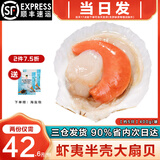 海泽鲜 鲜冻虾夷半壳特大扇贝1000g  海鲜烧烤食材超大号蒜蓉粉丝扇贝肉 【虾夷大扇贝】 400g(净重)  -450g
