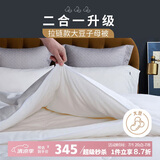 多喜爱10%大豆拉链子母被 磨绒提花面料冬被子被芯约11斤203*229cm