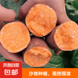 现挖沙地蜜薯红薯新鲜农家糖心番薯烤地瓜软糯批发黄心包邮 沙地蜜薯5斤装 中果