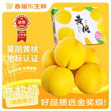 春福乐 山东蒙阴黄桃【源头直发】新鲜水果现摘现发桃子孕妇水果 7A精选果丨店长力荐丨单果100g+ 净4.5-5斤丨老农手挑【70%人选】