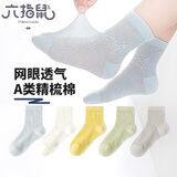 六指鼠儿童袜子男童宝宝春夏中大童网眼镂空男孩小孩网眼中筒棉袜0-16岁