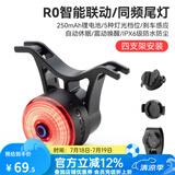 洛克兄弟（ROCKBROS）自行车尾灯USB充电骑行安全夜骑车灯警示灯公路山地车尾灯配件 智能同频刹车尾灯 RO (单个)