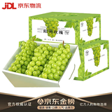 京营觅选阳光玫瑰葡萄晴王香印提子 当季新鲜时令新鲜水果中秋水果 净重2.5斤单粒9-15g 山西阳光玫瑰葡萄