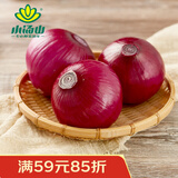 小汤山 北京 紫洋葱 450g 基地直供新鲜蔬菜