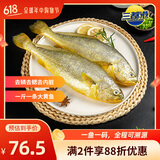三都港冷冻三去大黄鱼净重2斤/2条装 宁德黄花鱼 生鲜鱼类 端午节