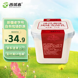 西域春新疆特产 冰淇淋风味 1kg*1桶酸奶  低温生鲜酸奶 生牛乳发酵