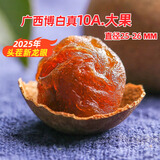 寿乡农场（SHOU XIANG FARM）桂圆干11A大桂圆带壳桂圆肉干广西博白龙眼干老树新鲜2025年新货 新10A大果【直径25mm-26mm】2斤