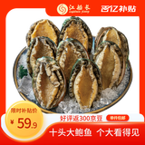 江船长 冷冻大鲍鱼 净重400g 10粒袋装 火锅食材 烧烤 贝类生鲜 
