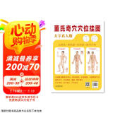 穴位图 挂图 董氏奇穴穴位挂图