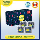 怡颗莓Driscoll's 秘鲁蓝莓Jumbo超大果20mm+4盒125g/盒 水果礼盒