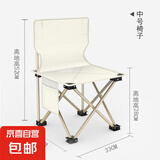 贤特休闲折叠钓鱼椅子带靠背便携式垂钓椅画画美术写生凳渔具用品 33中号折叠椅白色