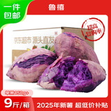 鲁禧广西新鲜紫薯 当季精品紫薯地瓜 软糯香甜健康轻食生鲜蔬菜 中果净重9斤（单果约150-400g）