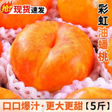 正宗山东蒙阴彩虹黄金油蟠桃新鲜油桃子脆甜水果应季黄心扁桃整箱 1斤小果尝鲜 高品质+一级甄选