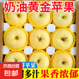 山东烟台黄金奶油富士苹果脆甜冰糖心很像维纳斯苹果 【合单发】净重1.5斤3个
