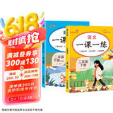 套装2册 2025春小学一课一练二年级语文数学下册人教版 小学二年级下册同步训练课时作业本随堂笔记实验班拔尖特训必刷题课课练天天练