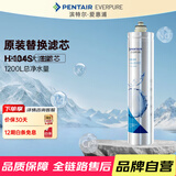 爱惠浦（Everpure） H-104S 净水器滤芯