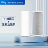 爱诗普霖（iSpring） 美国全屋小胖净水器滤芯配件 PP棉 压缩活性炭活性炭 PP棉+活性炭