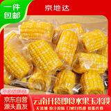 京地达云南水果甜玉米段净重2斤10段左右开袋即食新鲜真空装甜嫩玉米