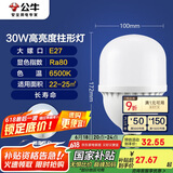 公牛（BULL）LED灯泡高亮柱形灯厂房车间商超食堂 30W球泡白光6500KE27螺口