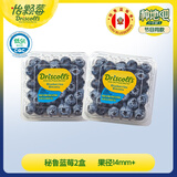 怡颗莓Driscoll's 秘鲁蓝莓中果2盒 14mm+ 125g/盒 新鲜水果源头直发 