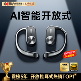 REMAX【2025最新款丨柏林之声】蓝牙耳机挂耳式骨传导概念金榜第1名开放式无线不入耳运动跑步降噪耳夹