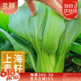 北蔬 上海青种子种苗小油菜春四季阳台盆栽蔬菜种籽 上海青种子2000粒
