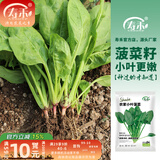 寿禾 大叶小叶菠菜种子大全波菜种蔬莱耐寒蔬菜四季播寿光夏秋菜籽 小叶菠菜种子100g原装【春秋冬】