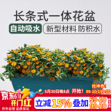 花沃里长方形花盆带托盘 阳台种菜盆种植箱种子育苗盘大花盆长条一体盆