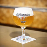 爱丁戈原装进口品牌啤酒杯子集合精酿啤酒杯 比利时进口圣伯纳啤酒杯 330mL 1瓶