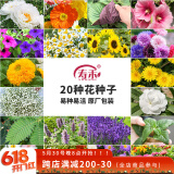 寿禾 花种子苗薄荷波斯菊太阳花格桑花向日葵花种籽 20种花草种子套餐