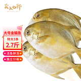 卖鱼七郎 国产冷冻金鲳鱼 3条装 净重2.7斤 海鱼特大 生鲜鱼类海鲜水产