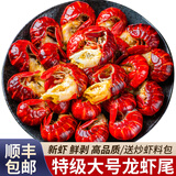 卖鱼七郎 特大鲜冻特级龙虾尾500g麻辣小龙虾海鲜水产虾球固形物含量≥75% 一级虾尾无冰净重1斤110粒/袋 特级龙虾尾