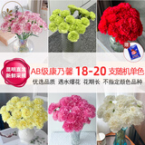 悦多彩优质水养鲜切花 母亲节三八节花束 昆明基地现采直发顺丰生活鲜花 康乃馨 20支 （随机色）