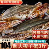 舟山超大梭子蟹新鲜蟹活冻大螃蟹冰鲜飞蟹花盖蟹生鲜 蟹类 3斤4-6只【109】
