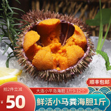 小平岛（xiaopingdao）马粪海胆1斤大连海胆新鲜生鲜水产刺身日料蒸蛋即食 马粪海胆500g（9-12个左右）