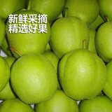 HUABEIQIANG陕西早酥梨脆甜可口现摘现发酥梨产地直发梨子汁水丰富 净重8.5斤装单果100g+ 大果