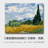 史历克 数字油画DIY世界大师名作合集1手工涂色画创意减压填色油画 丝柏树（梵高）FZ-886 40*50cm 彩布(要自己涂色)