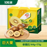 佳沛（zespri）新西兰  金果10粒猕猴桃礼盒巨大果单果144-175g 端午节水果礼盒